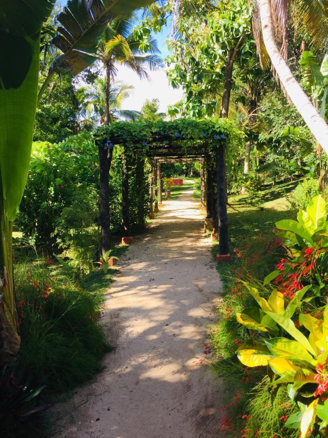 Ampasimena Sakatia Lodge المظهر الخارجي الصورة