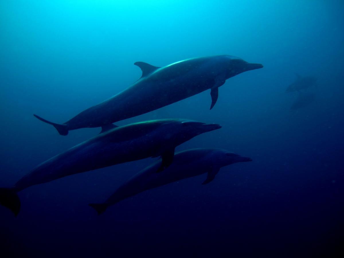Ampasimena Sakatia Lodge المظهر الخارجي الصورة