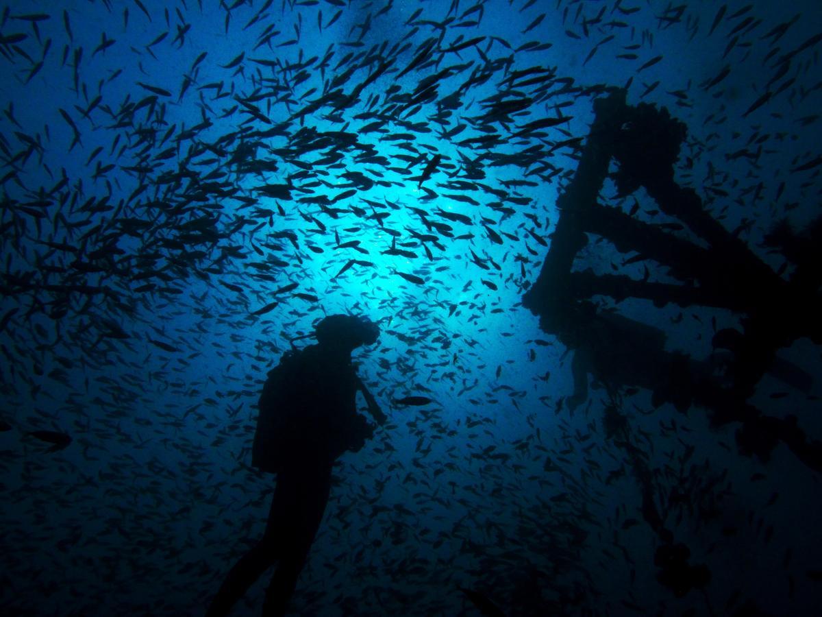 Ampasimena Sakatia Lodge المظهر الخارجي الصورة