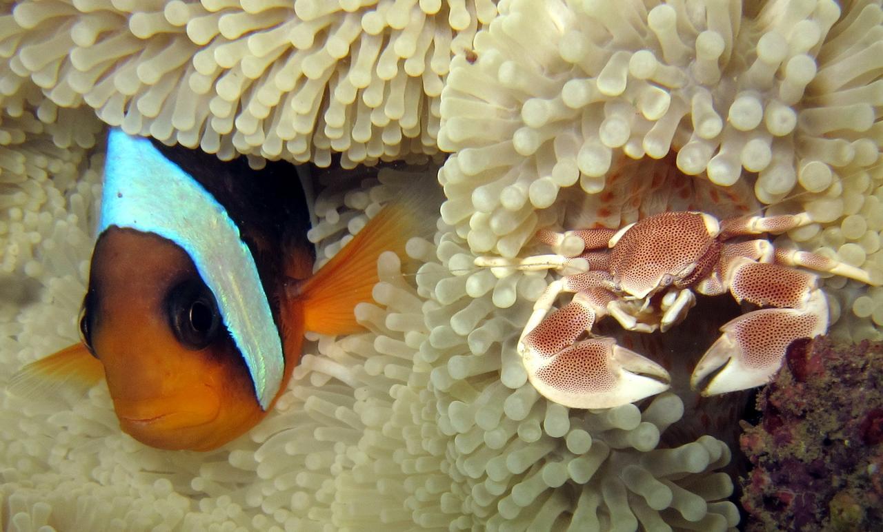 Ampasimena Sakatia Lodge المظهر الخارجي الصورة