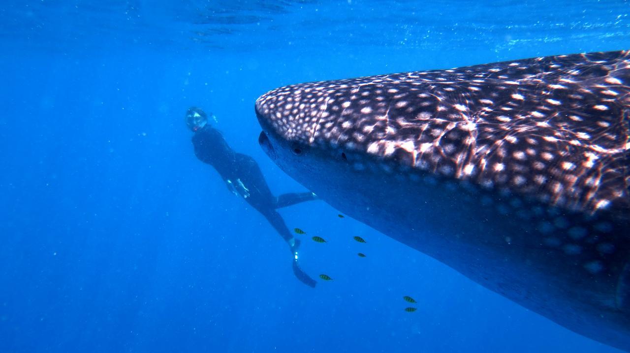 Ampasimena Sakatia Lodge المظهر الخارجي الصورة