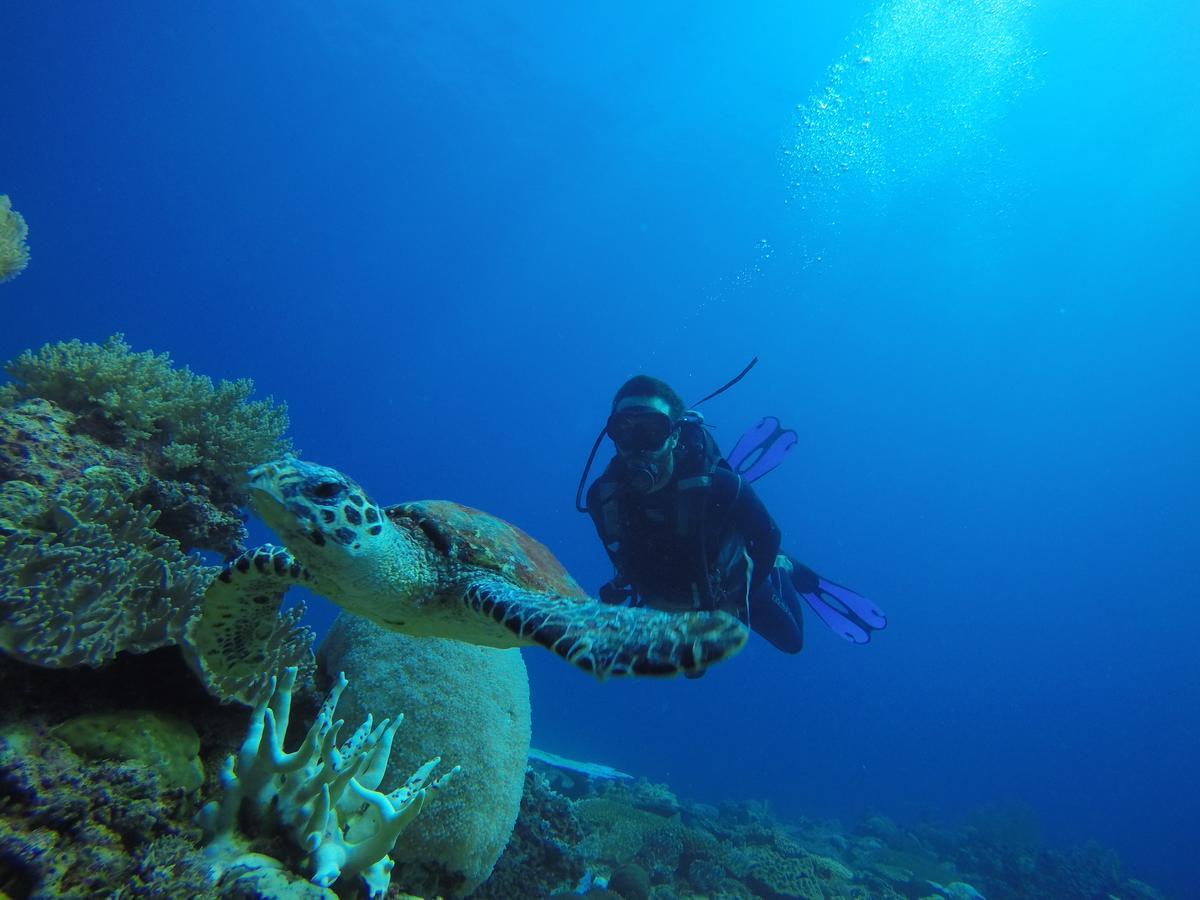 Ampasimena Sakatia Lodge المظهر الخارجي الصورة